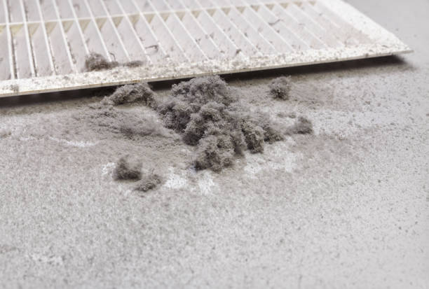 Best Affordable Duct Cleaning Services  in Madison, NE