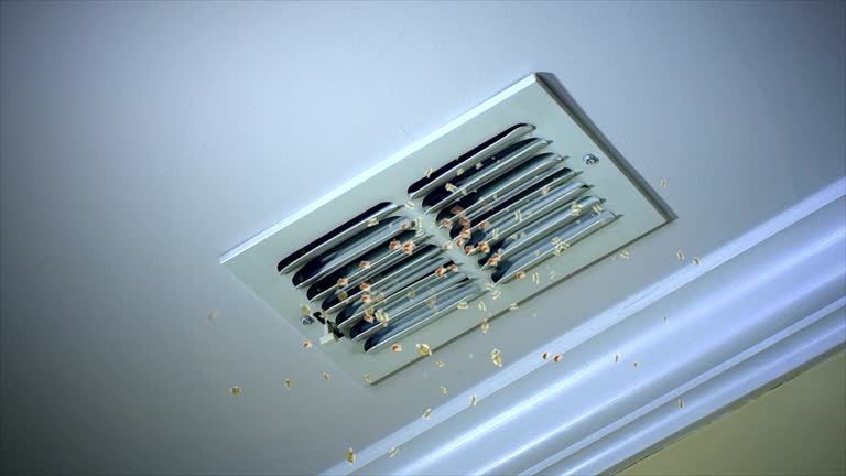 Best Air Vent Cleaning Services  in Madison, NE